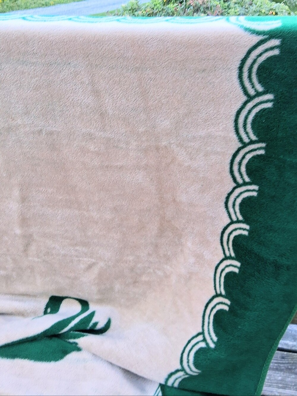 San Marcos 82" X 80" Green and Tan Swan Mexican Cobijia Buttery Soft Blanket - Picture 8 of 13